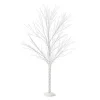 Christmas Basics<Department 56 Birch Tree