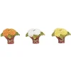 Village Accessories<Department 56 Mums For Mom