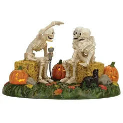 Snow Village Halloween<Department 56 Scary Skeleton Stories